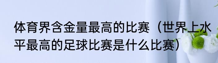体育界含金量最高的比赛（世界上水平最高的足球比赛是什么比赛）