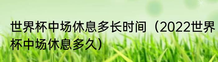 世界杯中场休息多长时间（2022世界杯中场休息多久）
