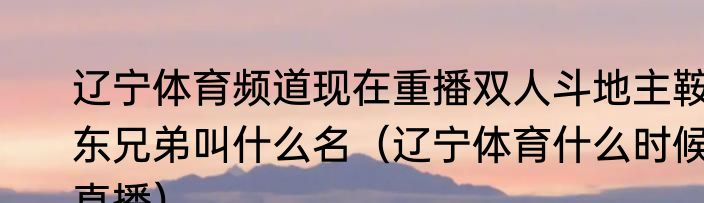 辽宁体育频道现在重播双人斗地主鞍东兄弟叫什么名（辽宁体育什么时候直播）