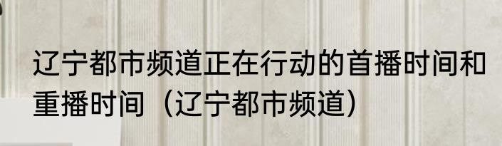 辽宁都市频道正在行动的首播时间和重播时间（辽宁都市频道）