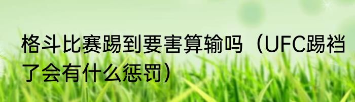 格斗比赛踢到要害算输吗（UFC踢裆了会有什么惩罚）