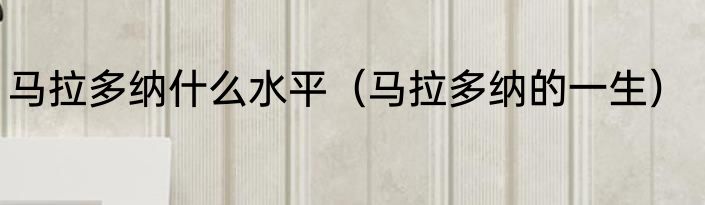 马拉多纳什么水平（马拉多纳的一生）