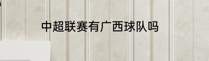 中超联赛有广西球队吗