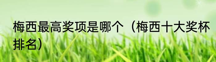 梅西最高奖项是哪个（梅西十大奖杯排名）