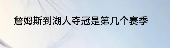 詹姆斯到湖人夺冠是第几个赛季