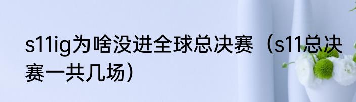 s11ig为啥没进全球总决赛（s11总决赛一共几场）