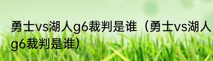勇士vs湖人g6裁判是谁（勇士vs湖人g6裁判是谁）