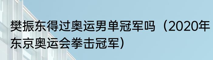 樊振东得过奥运男单冠军吗（2020年东京奥运会拳击冠军）