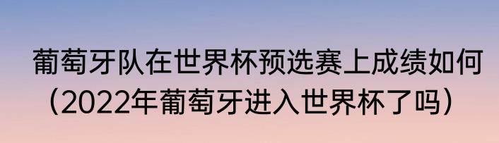 葡萄牙队在世界杯预选赛上成绩如何（2022年葡萄牙进入世界杯了吗）