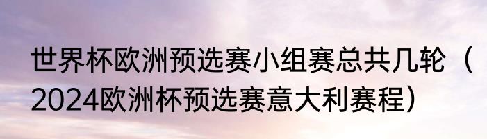 世界杯欧洲预选赛小组赛总共几轮（2024欧洲杯预选赛意大利赛程）