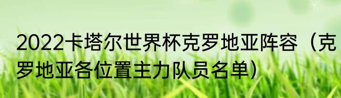 2022卡塔尔世界杯克罗地亚阵容（克罗地亚各位置主力队员名单）