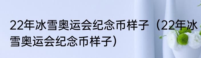 22年冰雪奥运会纪念币样子（22年冰雪奥运会纪念币样子）