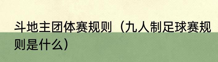 斗地主团体赛规则（九人制足球赛规则是什么）