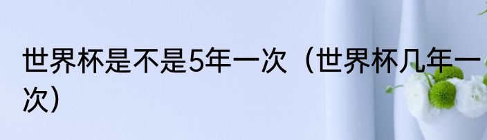 世界杯是不是5年一次（世界杯几年一次）