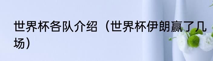 世界杯各队介绍（世界杯伊朗赢了几场）