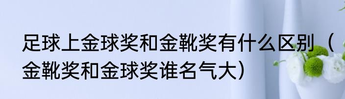 足球上金球奖和金靴奖有什么区别（金靴奖和金球奖谁名气大）