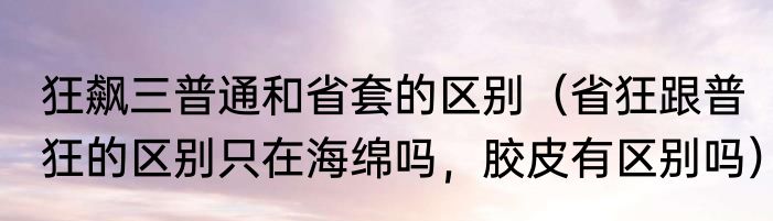狂飙三普通和省套的区别（省狂跟普狂的区别只在海绵吗，胶皮有区别吗）