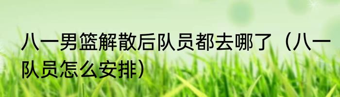 八一男篮解散后队员都去哪了（八一队员怎么安排）