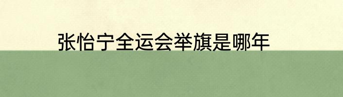 张怡宁全运会举旗是哪年