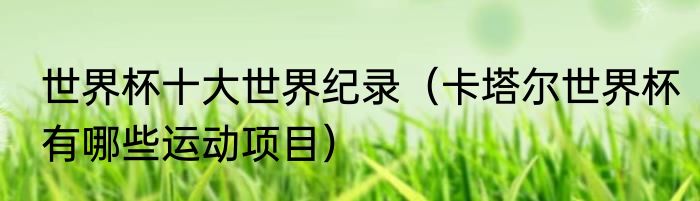 世界杯十大世界纪录（卡塔尔世界杯有哪些运动项目）