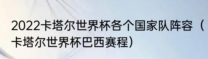 2022卡塔尔世界杯各个国家队阵容（卡塔尔世界杯巴西赛程）