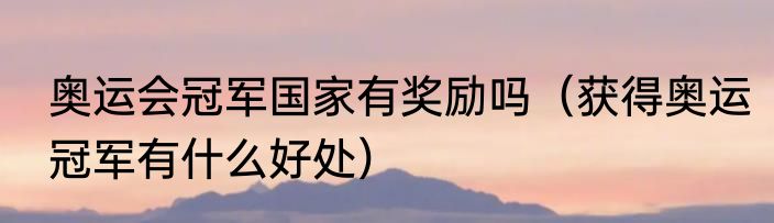 奥运会冠军国家有奖励吗（获得奥运冠军有什么好处）