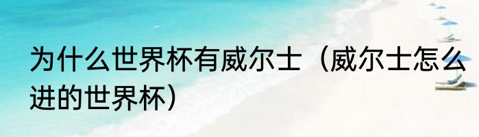 为什么世界杯有威尔士（威尔士怎么进的世界杯）