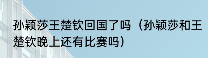 孙颖莎王楚钦回国了吗（孙颖莎和王楚钦晚上还有比赛吗）