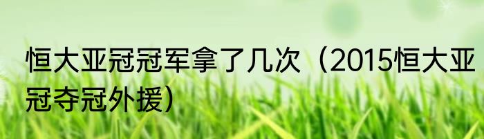 恒大亚冠冠军拿了几次（2015恒大亚冠夺冠外援）