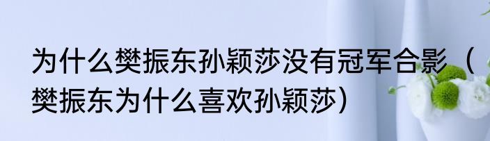 为什么樊振东孙颖莎没有冠军合影（樊振东为什么喜欢孙颖莎）