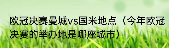 欧冠决赛曼城vs国米地点（今年欧冠决赛的举办地是哪座城市）
