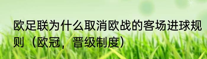 欧足联为什么取消欧战的客场进球规则（欧冠，晋级制度）