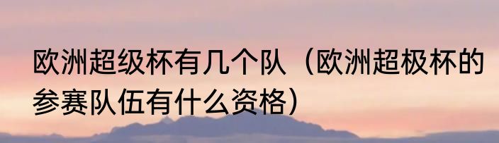 欧洲超级杯有几个队（欧洲超极杯的参赛队伍有什么资格）
