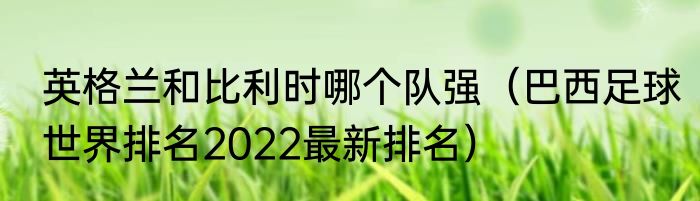英格兰和比利时哪个队强（巴西足球世界排名2022最新排名）