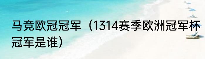 马竞欧冠冠军（1314赛季欧洲冠军杯冠军是谁）