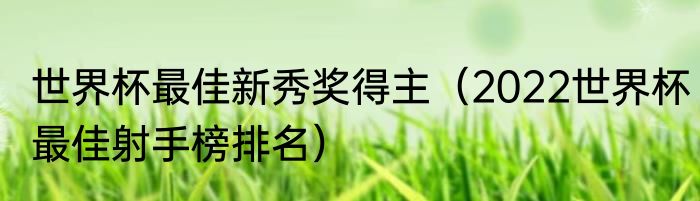 世界杯最佳新秀奖得主（2022世界杯最佳射手榜排名）
