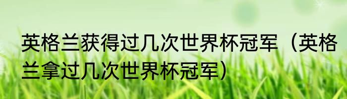 英格兰获得过几次世界杯冠军（英格兰拿过几次世界杯冠军）