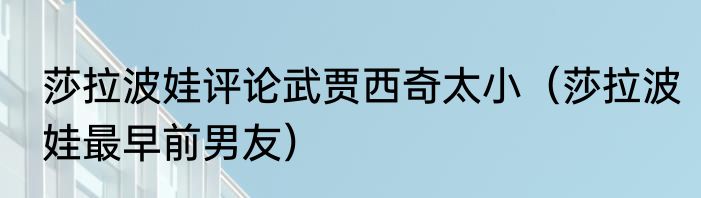 莎拉波娃评论武贾西奇太小（莎拉波娃最早前男友）