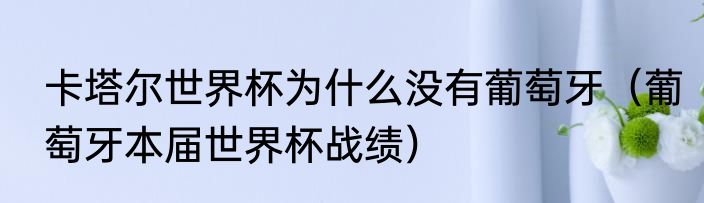卡塔尔世界杯为什么没有葡萄牙（葡萄牙本届世界杯战绩）
