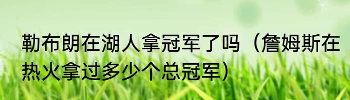 勒布朗在湖人拿冠军了吗（詹姆斯在热火拿过多少个总冠军）