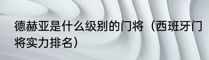 德赫亚是什么级别的门将（西班牙门将实力排名）