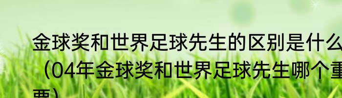 金球奖和世界足球先生的区别是什么（04年金球奖和世界足球先生哪个重要）