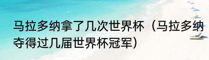 马拉多纳拿了几次世界杯（马拉多纳夺得过几届世界杯冠军）