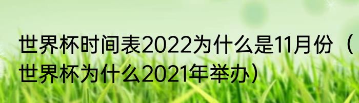 世界杯时间表2022为什么是11月份（世界杯为什么2021年举办）