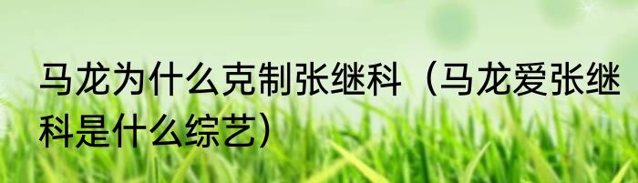 马龙为什么克制张继科（马龙爱张继科是什么综艺）