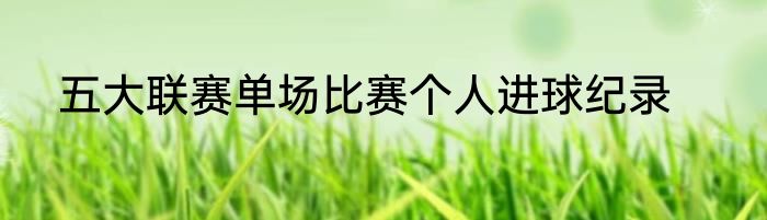 五大联赛单场比赛个人进球纪录