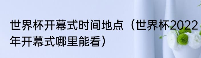 世界杯开幕式时间地点（世界杯2022年开幕式哪里能看）