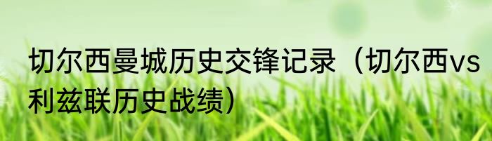 切尔西曼城历史交锋记录（切尔西vs利兹联历史战绩）