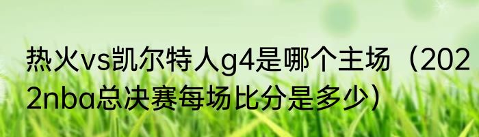 热火vs凯尔特人g4是哪个主场（2022nba总决赛每场比分是多少）
