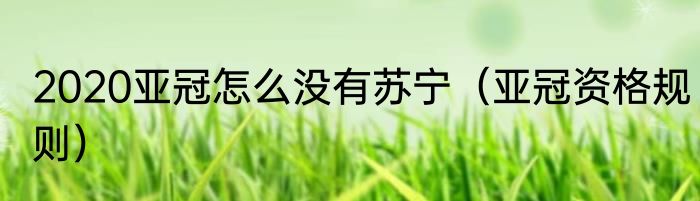 2020亚冠怎么没有苏宁（亚冠资格规则）